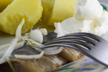 Boiled potatoes with salted herring clipart