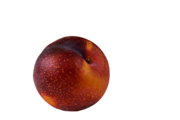 Red plum, on white — Stock Photo, Image