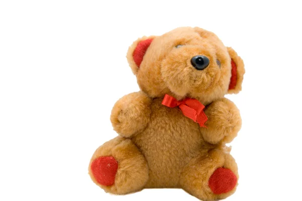 Teddybär — Stockfoto