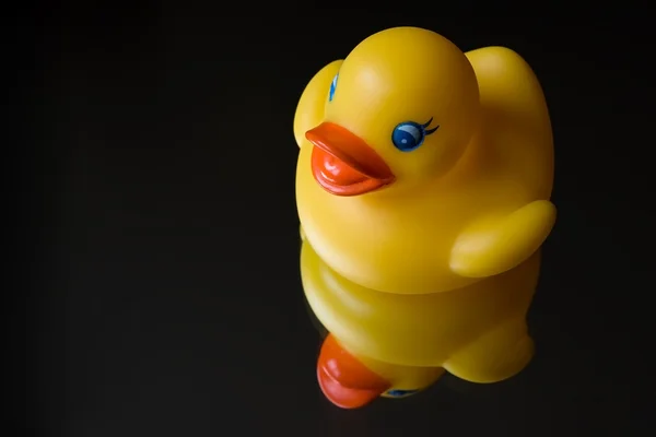Pato amarelo com reflexão — Fotografia de Stock