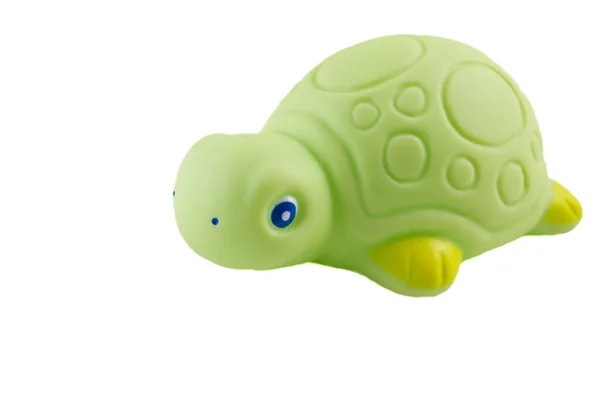 绿色橡胶龟 — 图库照片
