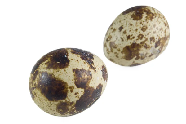 Par de ovos de codorna — Fotografia de Stock