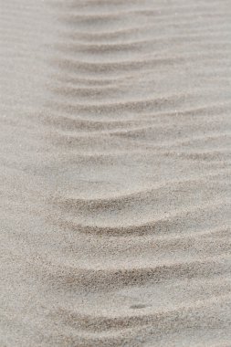 Wind blown sand texture clipart