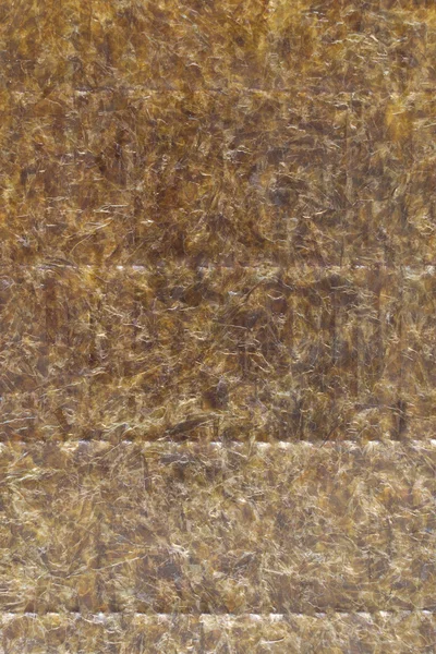 Nori sheet texture — Stock Photo, Image