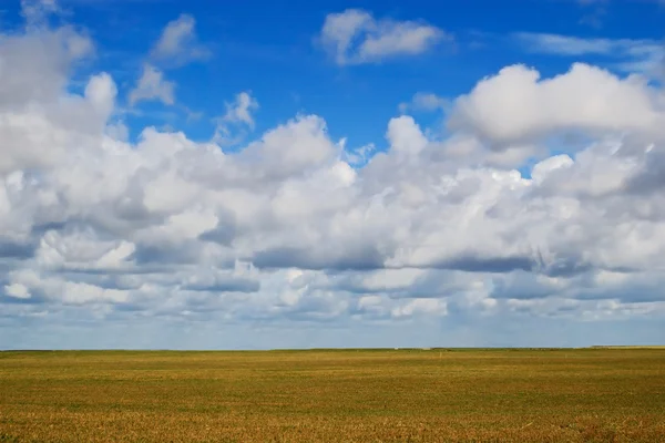 Sky and field — Stock Photo, Image
