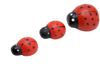 Toy ladybirds in a row clipart