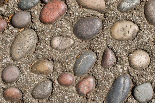 Pebbles no concreto — Fotografia de Stock
