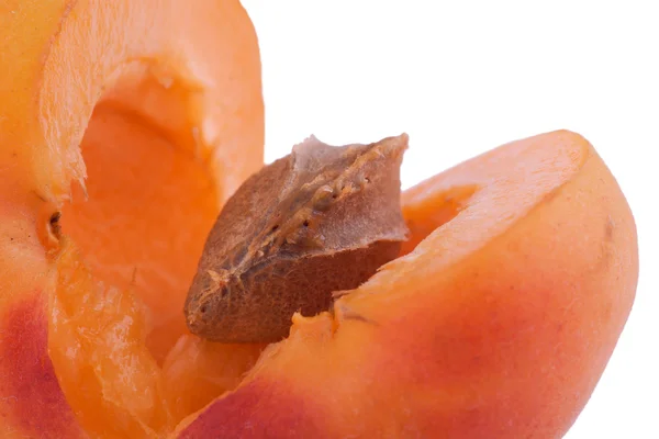 Opened apricot — Stock Photo, Image