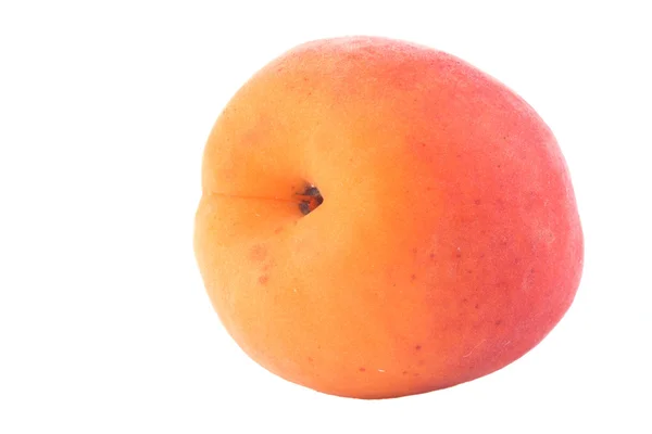 Apricot on white — Stock Photo, Image