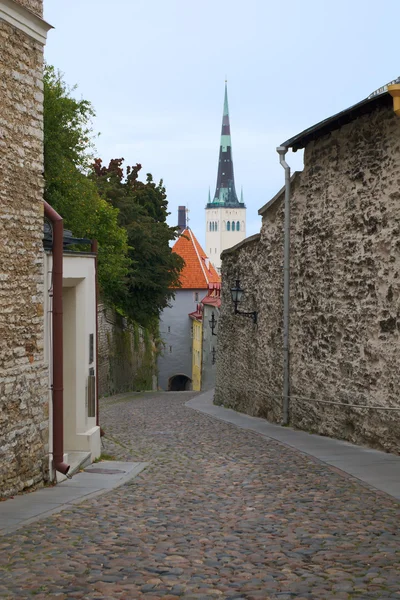 Tallinn straat — Stockfoto