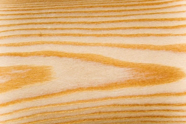 Texture di una pineta — Foto Stock