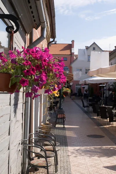 stock image Flower decorated alley with cafes