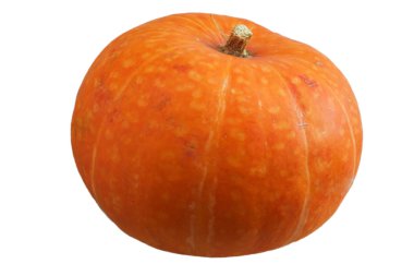 Pumpkin on white clipart