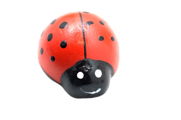 Izole ladybird oyuncak — Stok fotoğraf