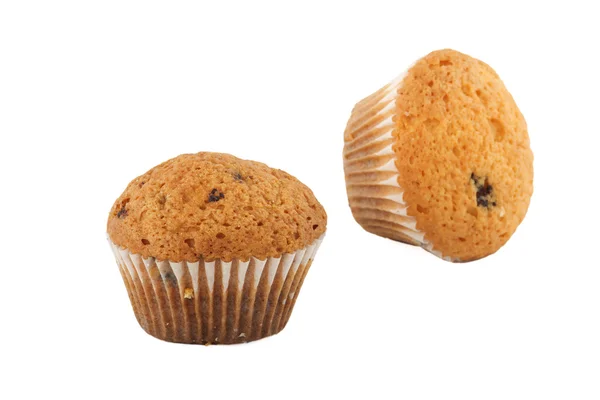 Zwei Muffins — Stockfoto