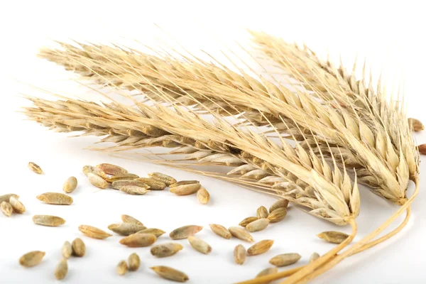 成熟的黑麦和松散谷物 — 图库照片