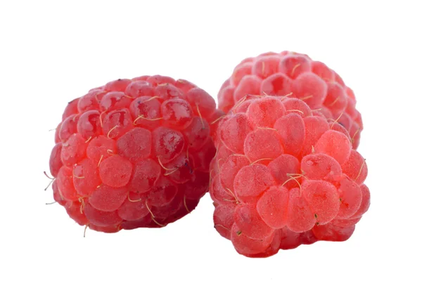Sweet and juicy raspberries — Stock Photo, Image