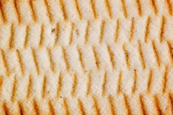 Textura traseira do biscoito — Fotografia de Stock