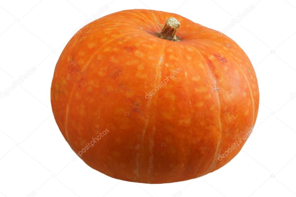 Pumpkin on white