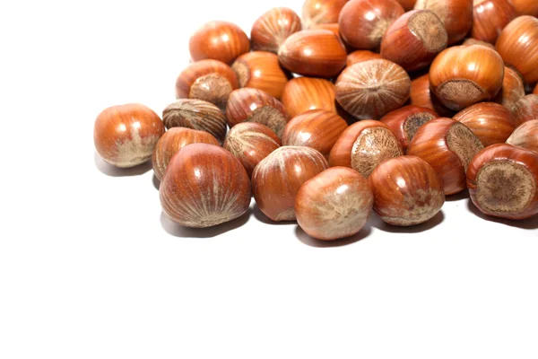 Shelled hazelnuts — Stock Photo, Image
