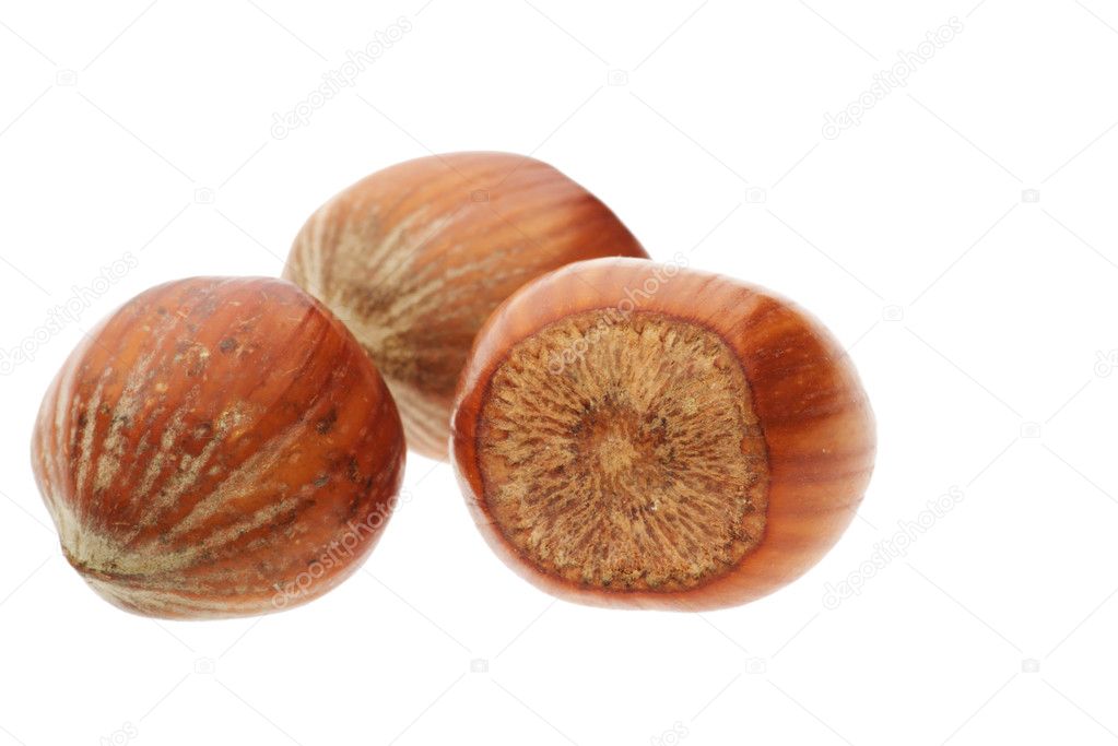 Three hazelnuts
