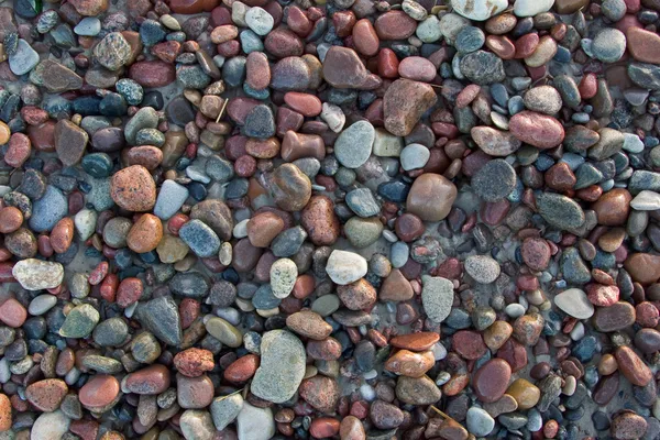 Wet pebbles Stock Picture