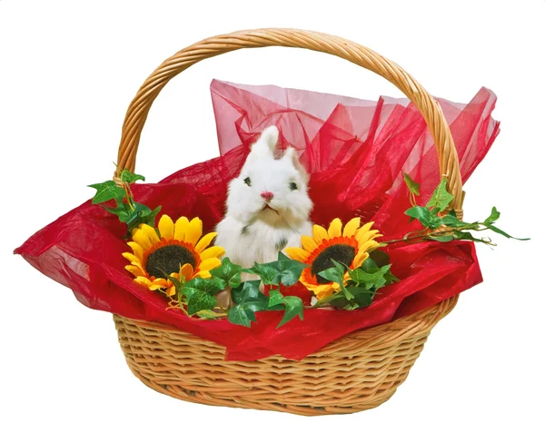 Cute little rabbit in basket — Stock Photo, Image
