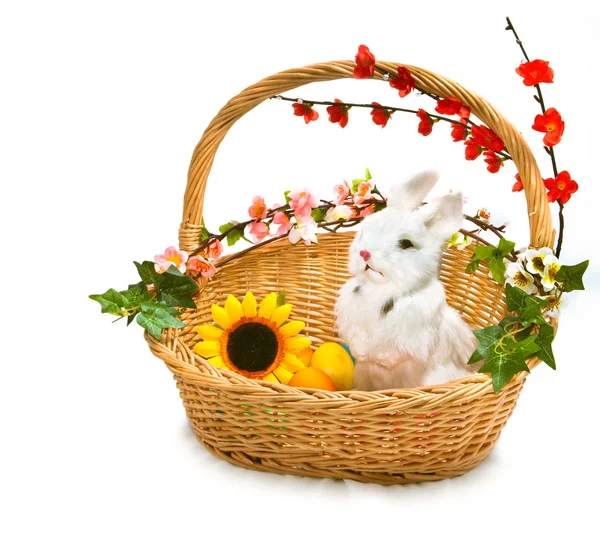 Cute little rabbit in basket — Stock Photo, Image