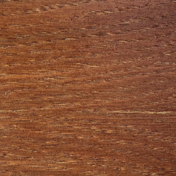Trä textur närbild. — Stockfoto
