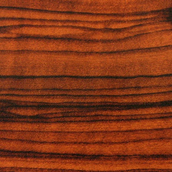 Houten textuur close-up. — Stockfoto