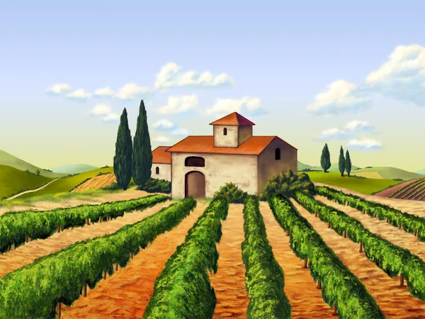 Vingård i Toscana, Italien — Stockfoto