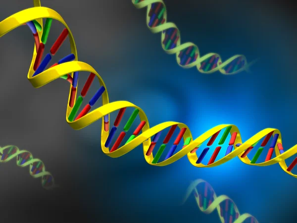 Cadena de ADN —  Fotos de Stock