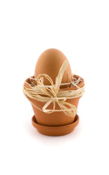Egg in flowerpot with bow — Stock Photo, Image