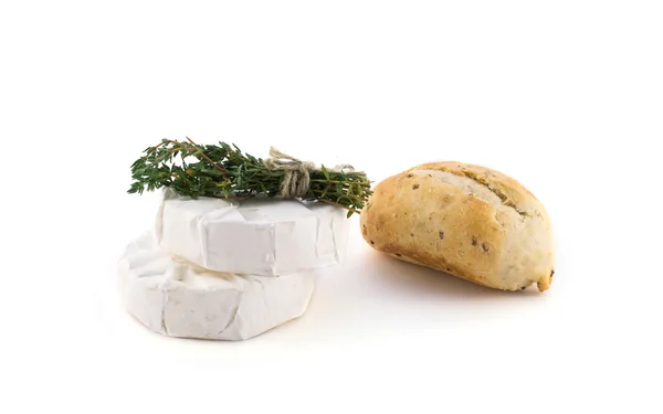 Τυρί με λευκό μούχλα Royalty Free Εικόνες Αρχείου