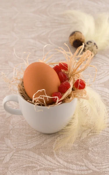 Natural easter egg in pot — Stock Photo, Image