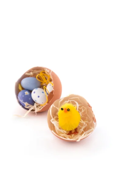 Natural easter eggs with yellow chicken — Stock Photo, Image