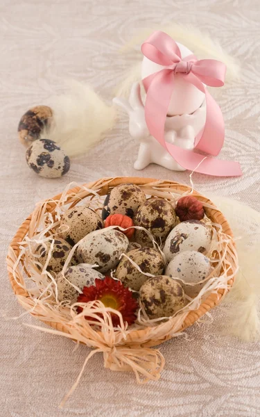Easter quail eggs with bunny — Stock Photo, Image