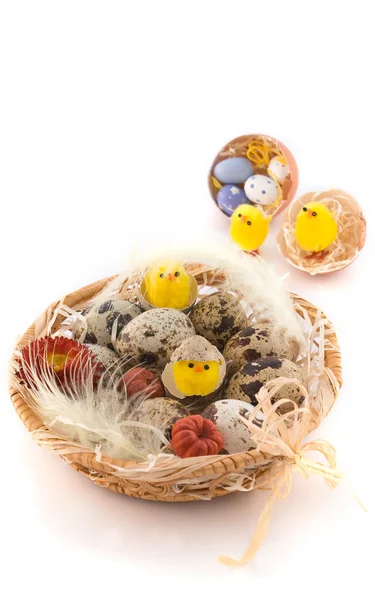 Uova di quaglia di Pasqua con pollo Immagine Stock