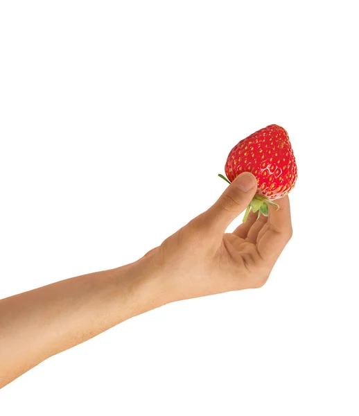 草莓在手 — 图库照片