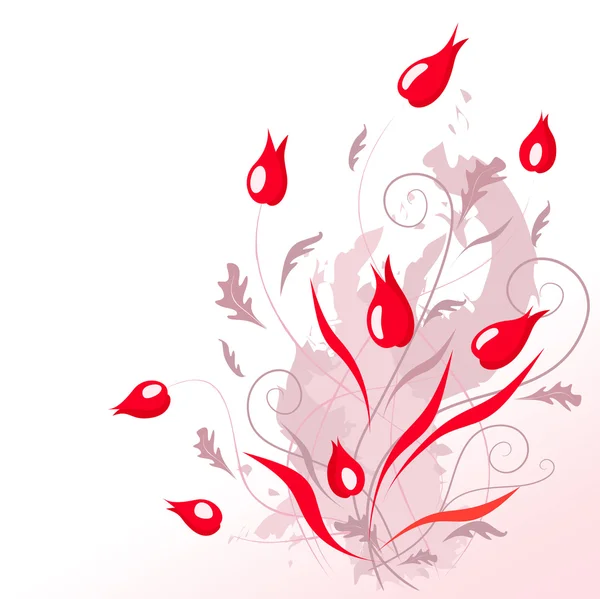 Schöne rote Blumen — Stockvektor