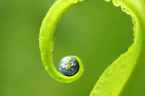 Concept photo of earth on green nature — Stock Photo, Image