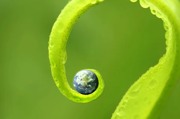 Konzeptfoto der Erde auf grüner Natur Stockbild