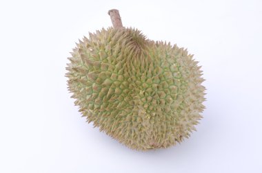 tropikal durian meyvesi