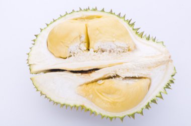 Durian,tropical fruit clipart