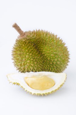 King of fruit, durian clipart