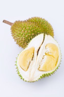 Durian clipart