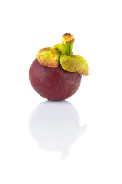 Pojedynczy mangostan — Zdjęcie stockowe