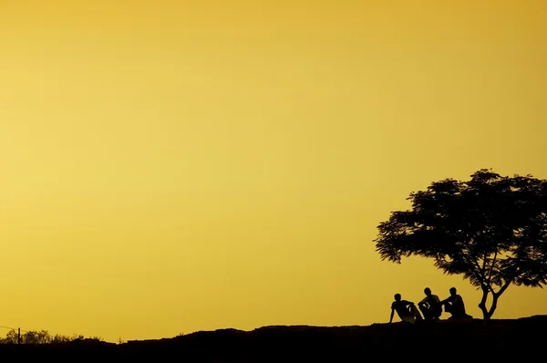 Silhouette of three man sitting beside a tree i — Stock Photo, Image