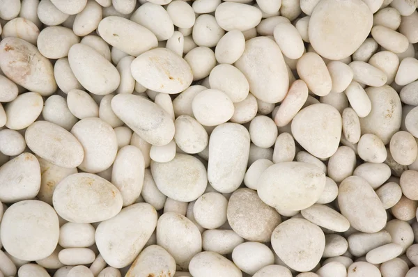 바위와 돌 백그라운드 — 스톡 사진