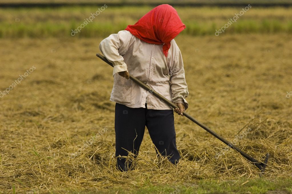 Farmer — Stock Photo © yuliang11 2521282